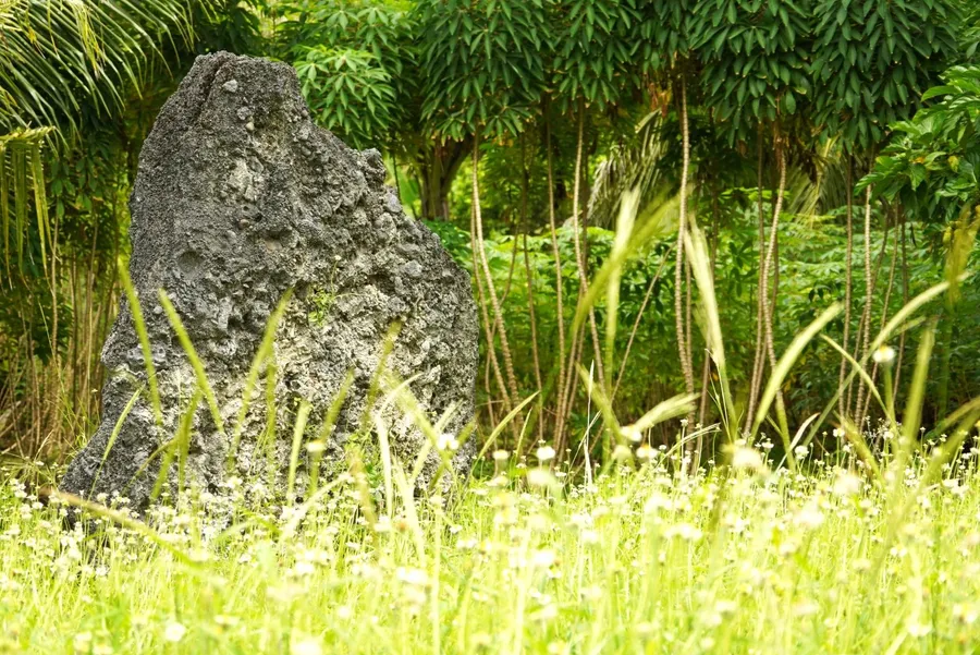 Sakumani Tomb Historic Guided (1) BNCC CREDIT WallisandFutunaPocketGuide.com