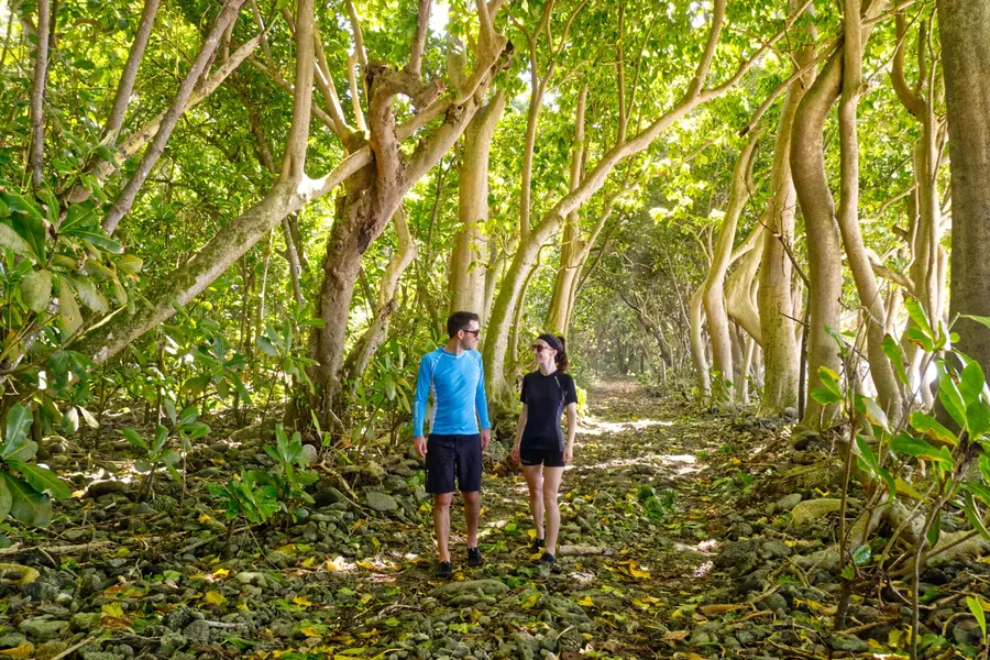 Saua Trail National Park Ta'u Manu'a CREDIT AmericanSamoaPocketGuide.com