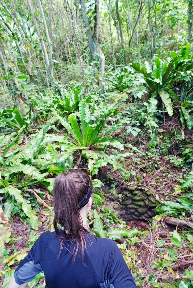 Saua Well Historical Site CREDIT AmericanSamoaPocketGuide.com