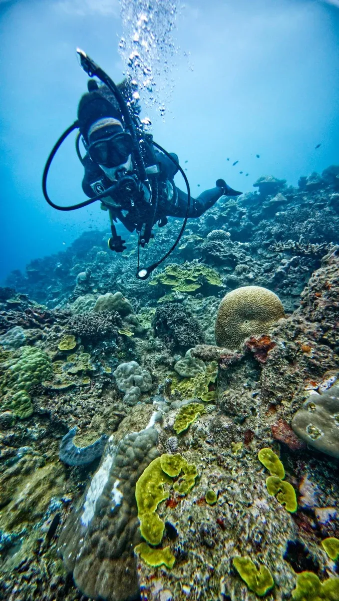 Scuba Big Blue 2 CREDIT VanuatuPocketGuide.com