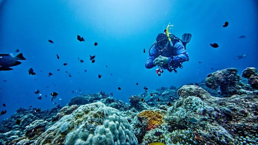 Scuba Big Blue 3 CREDIT VanuatuPocketGuide.com