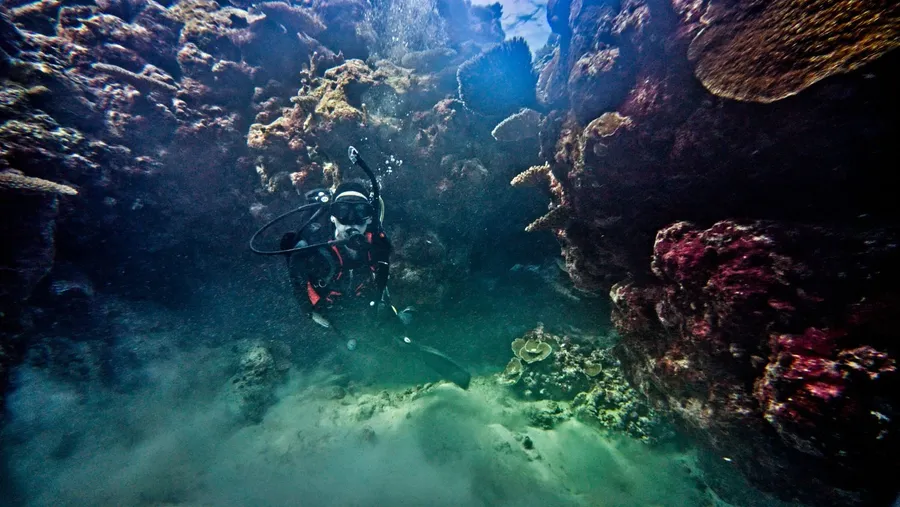 Scuba Club de Plongée de Futuna Vele (4) CREDIT WallisandFutunaPocketGuide.com