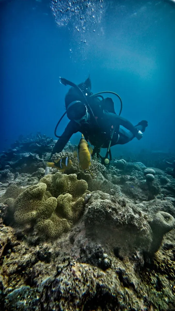 Scuba Club de Plongée de Futuna Vele (9) CREDIT WallisandFutunaPocketGuide.com