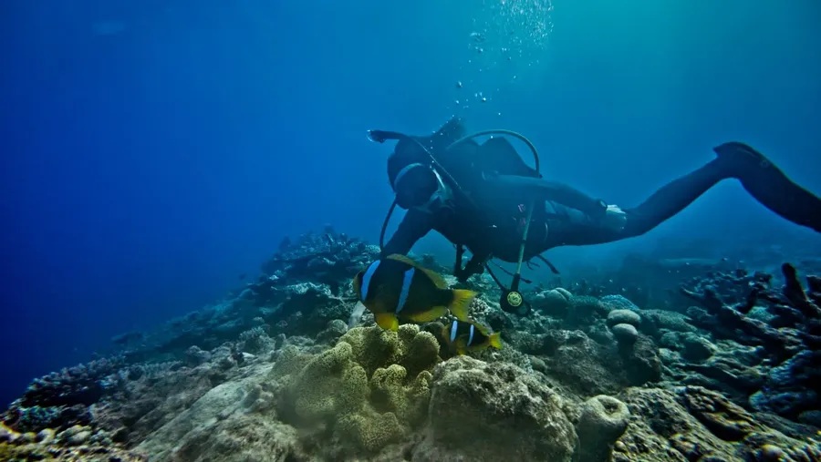 Scuba Club de Plongée de Futuna Vele (9).5 CREDIT WallisandFutunaPocketGuide.com
