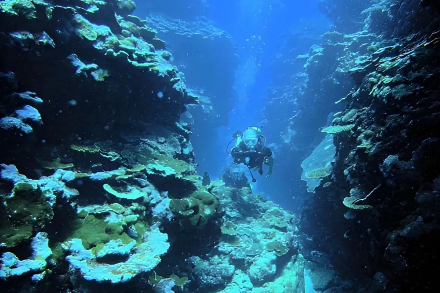 Scuba Wallis CREDIT Laurent Lemai (15)