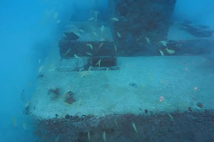 Scuba Wallis CREDIT Laurent Lemai (7)