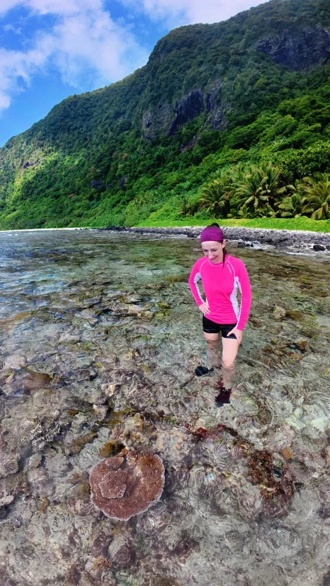 Sili Reef Walk Coral Olosega Manu'a CREDIT AmericanSamoaPocketGuide.com