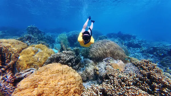 Snorkel Birkendrik Coral U CREDIT MarshallIslandsPocketGuide.com