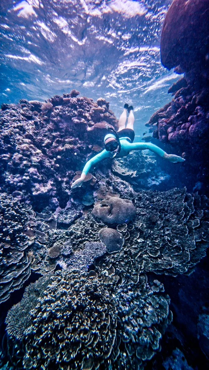 Snorkel Drop Off Cross Alofi Coral CREDIT WallisandFutunaPocketGuide.com