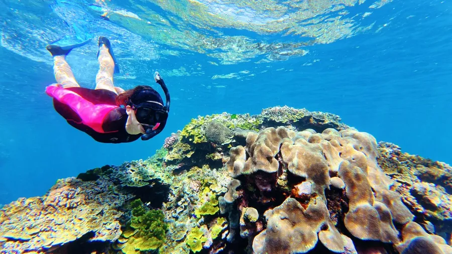Snorkel Evergreen Resort Coral (1) U CREDIT VanuatuPocketGuide.com
