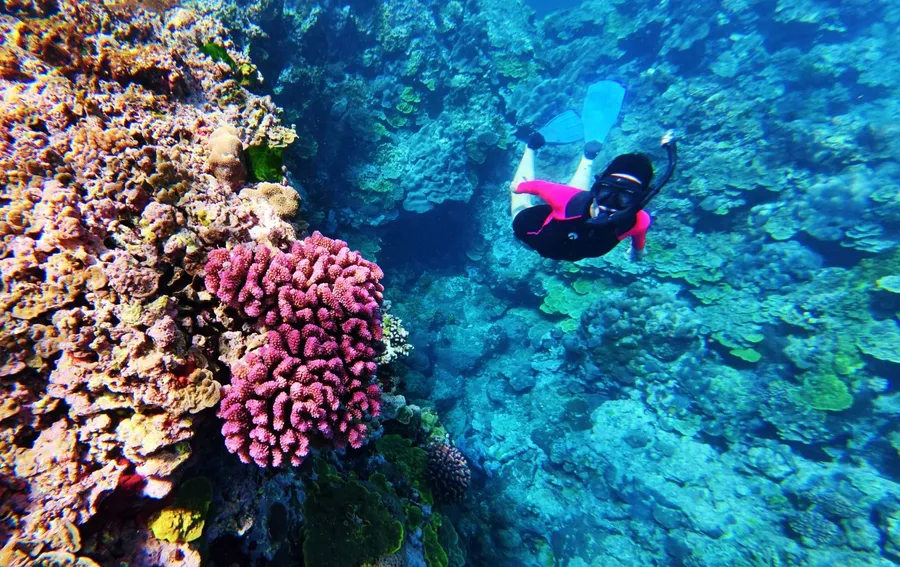 Snorkel Evergreen Resort Coral (4) U CREDIT VanuatuPocketGuide.com