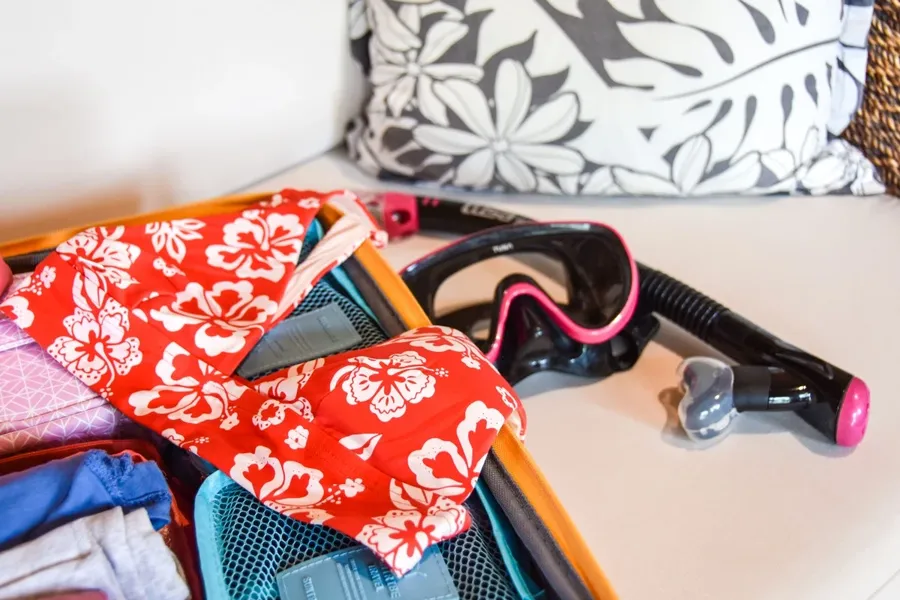 Snorkel Mask Gear Packing Suitcase