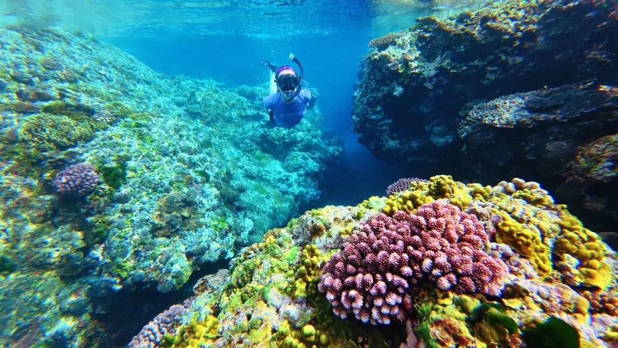 Snorkel Rockwater U CREDIT VanuatuPocketGuide.com