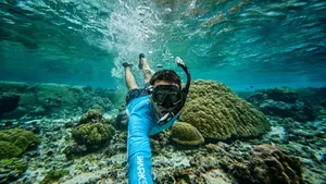 Snorkel To'aga Beach Ofu CREDIT AmericanSamoaPocketGuide.com