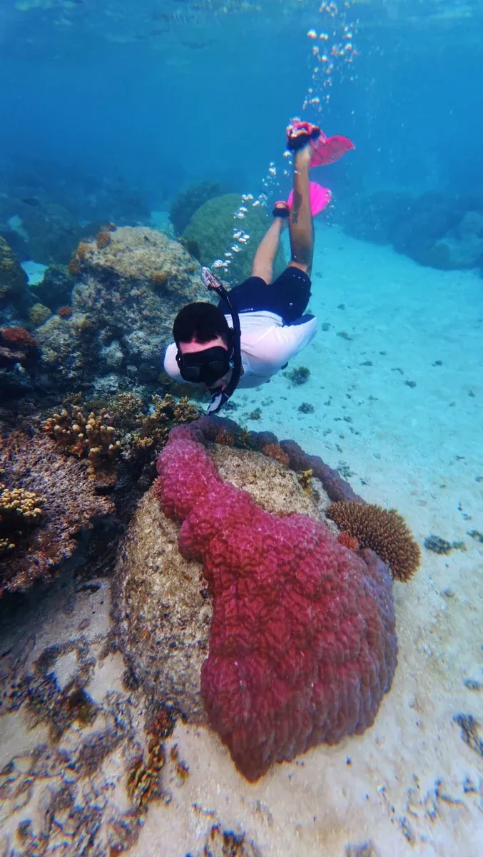 Snorkel Wildlife Bokanbokin (4) U CREDIT MarshallIslandsPocketGuide.com