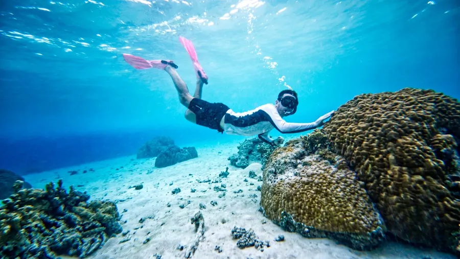 Snorkel Wildlife Bokanbokin (5) CREDIT MarshallIslandsPocketGuide.com