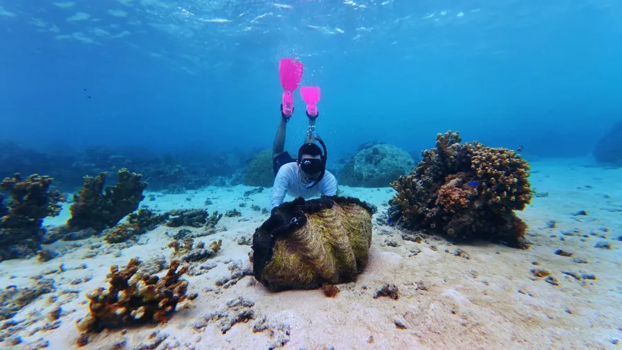 Snorkel Wildlife Bokanbokin (6) U CREDIT MarshallIslandsPocketGuide.com