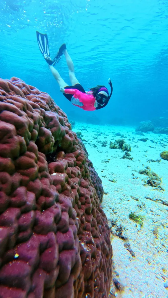 Snorkelling Coral Fish Bokanbotin (1) U CREDIT MarshallIslandsPocketGuide.com