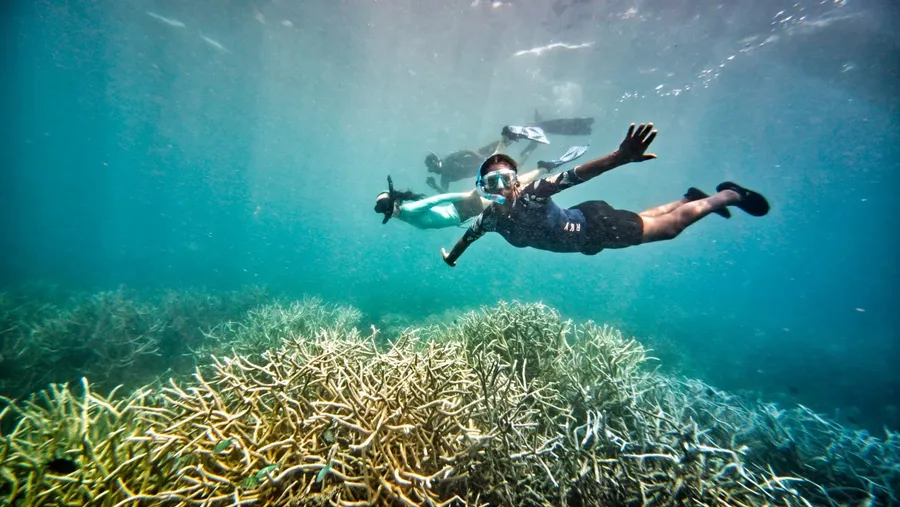 Snorkelling Coral Malog Tour 2 CREDIT VanuatuPocketGuide.com