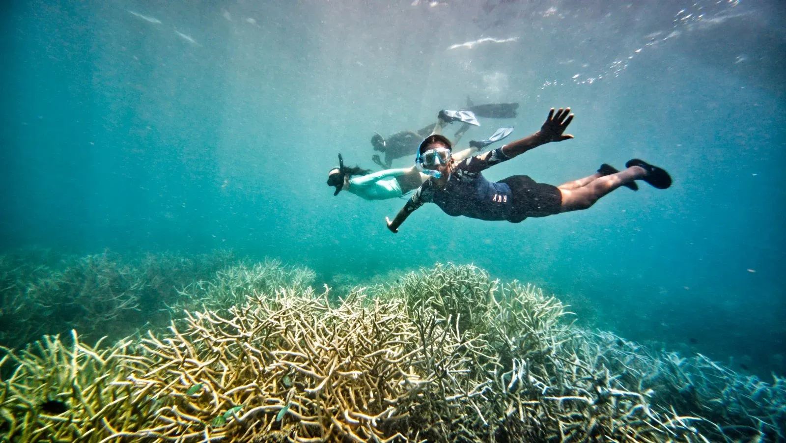 Snorkelling Coral Malog Tour 2 CREDIT VanuatuPocketGuide.com