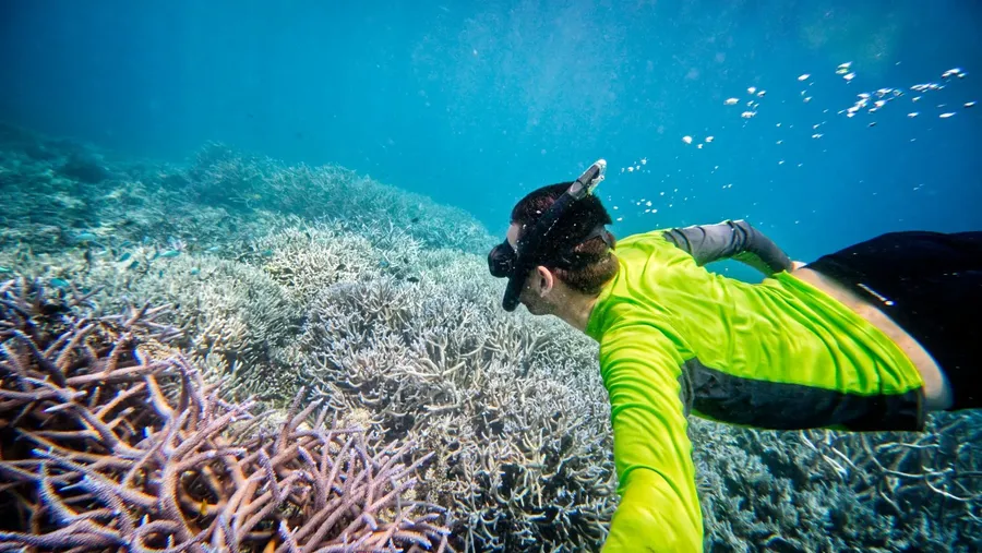 Snorkelling Coral Malog Tour CREDIT VanuatuPocketGuide.com