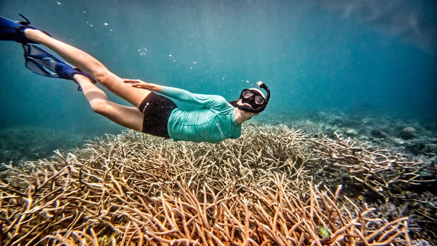 Snorkelling Coral Malog Tour Sharkskin CREDIT VanuatuPocketGuide.com