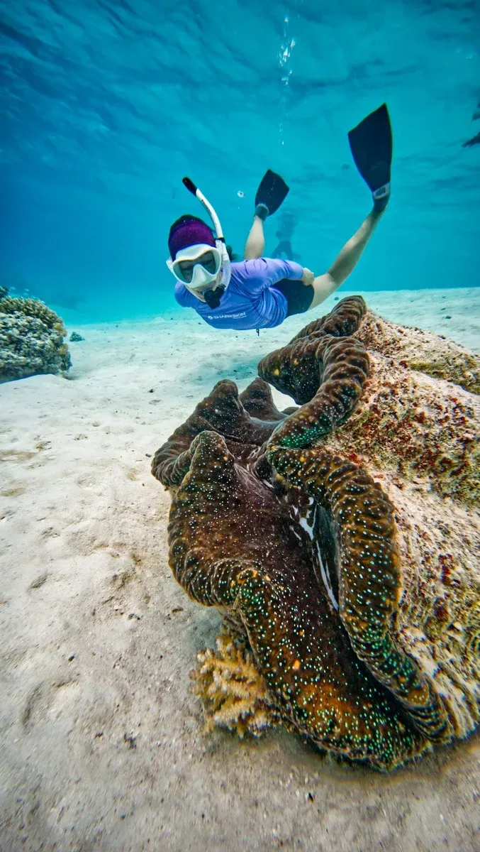 Snorkelling GT Clam Bishop Aitutaki (7) CREDIT CookIslandsPocketGuide.com