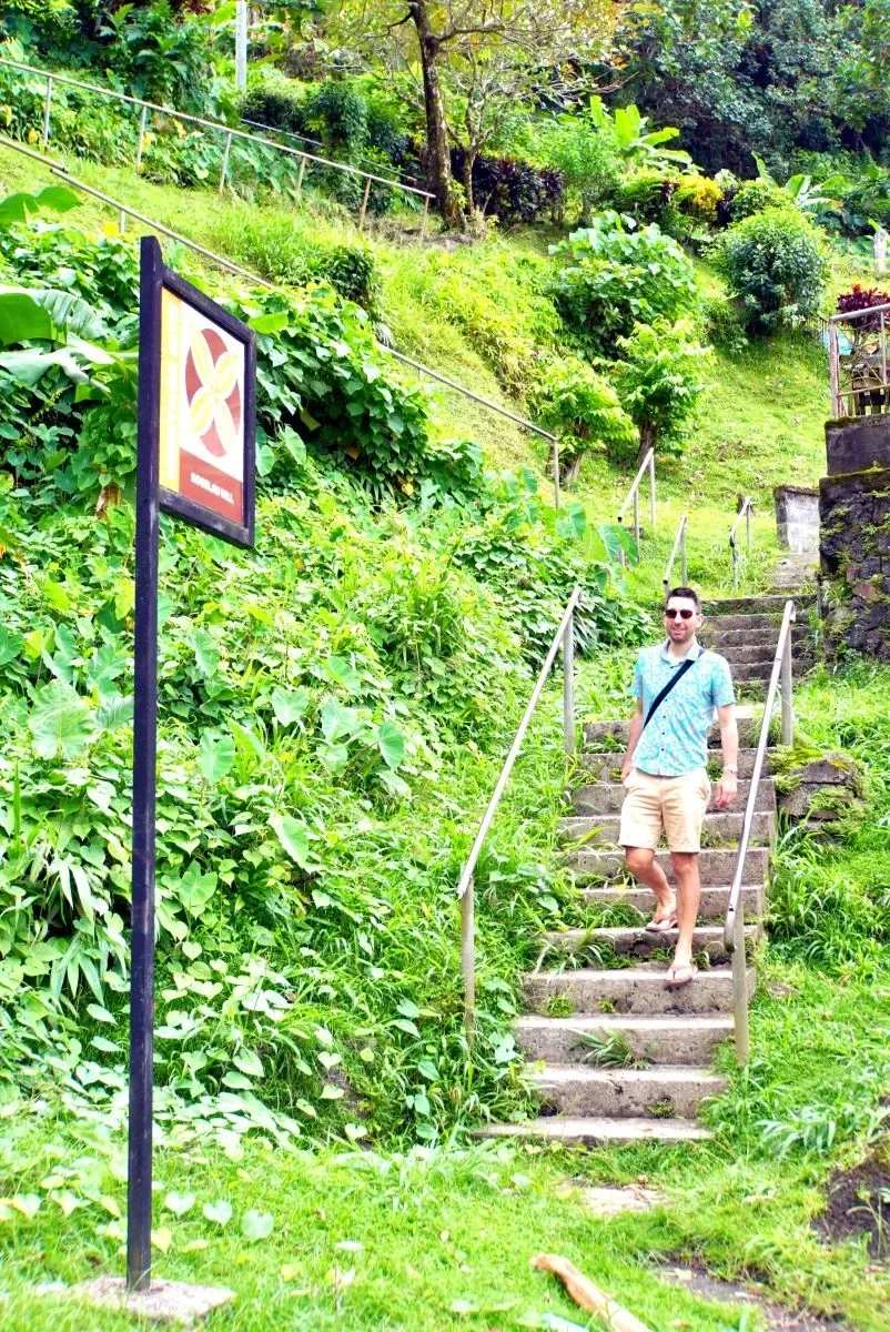 Sogelau Hill CREDIT AmericanSamoaPocketGuide.com