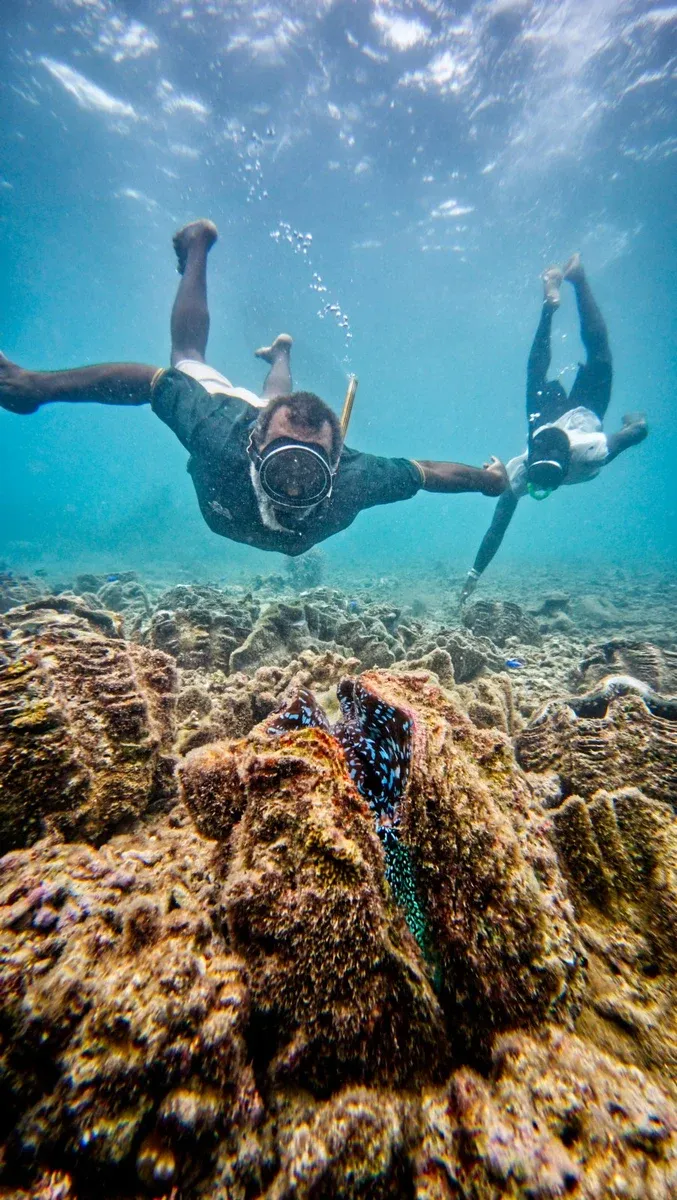 Tenstick Giant Clam Snorkelling CREDIT VanuatuPocketGuide.com