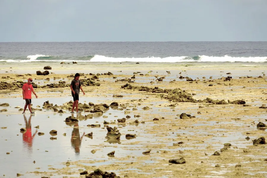 The Spoon Landscape Phone Network Reef Walk Dogs (1) SEB CREDIT MarshallIslandsPocketGuide.com