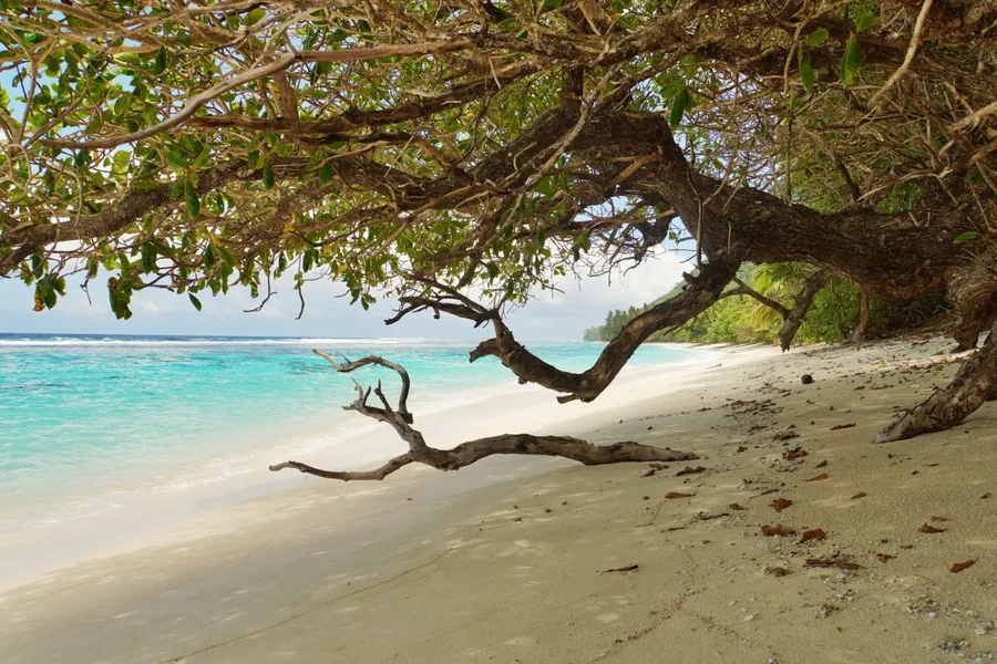 To'aga Beach Ofu Landscape CREDIT AmericanSamoaPocketGuide.com