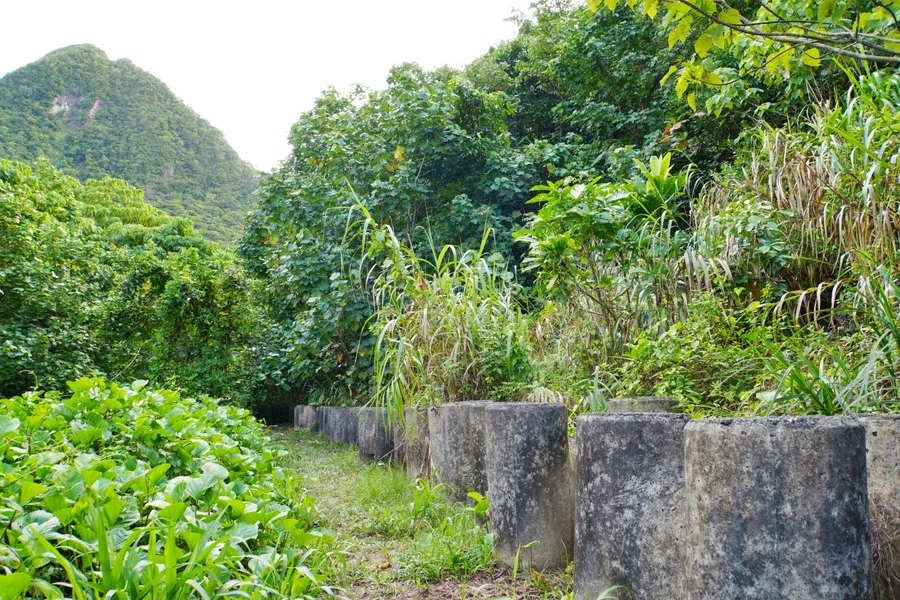 Tuafanua Trailhead National Park CREDIT AmericanSamoaPocketGuide.com