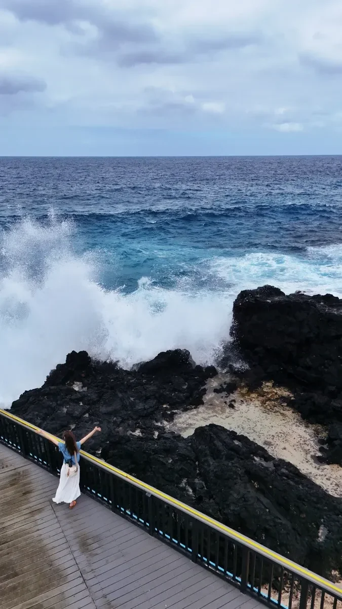 Turtle and Shark CREDIT AmericanSamoaPocketGuide.com