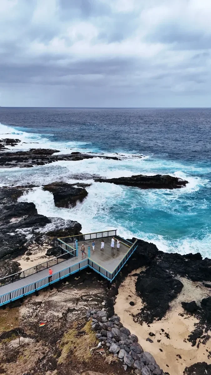 Turtle and Shark Site Coast CREDIT AmericanSamoaPocketGuide.com