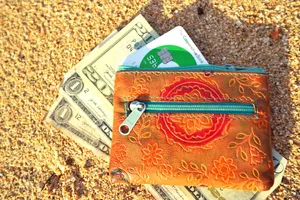 US Dollar Currency Money Cash Credit Card (3) CREDIT AmericanSamoaPocketGuide.com