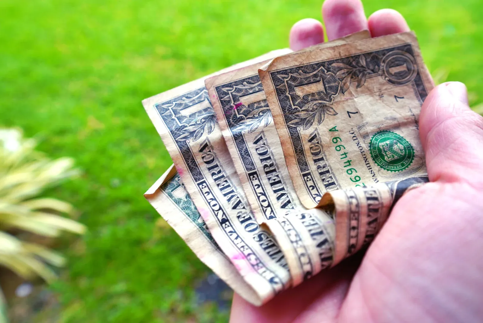 US Dollars Currency Money CREDIT AmericanSamoaPocketGuide.com