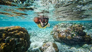 Va'oto Beach Snorkel Ofu Manu'a CREDIT AmericanSamoaPocketGuide.com