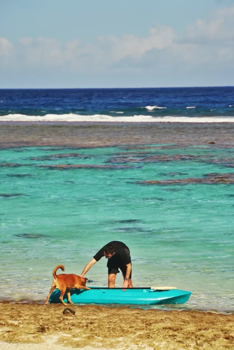 Va'oto Lodge Kayak Dog Animal CREDIT AmericanSamoaPocketGuide.com