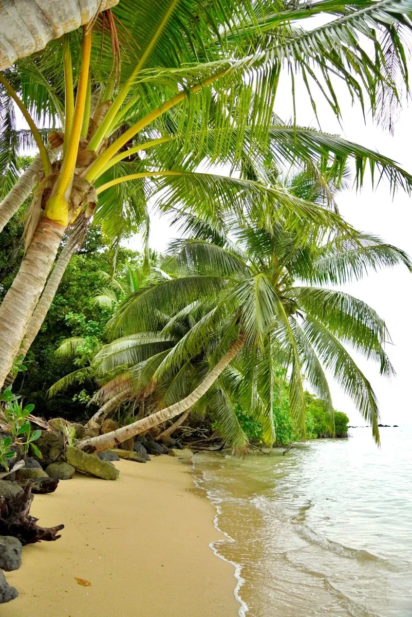 Vailala Beach Pointe Utu'uhu (3) SEB CREDIT WallisandFutunaPocketGuide.com