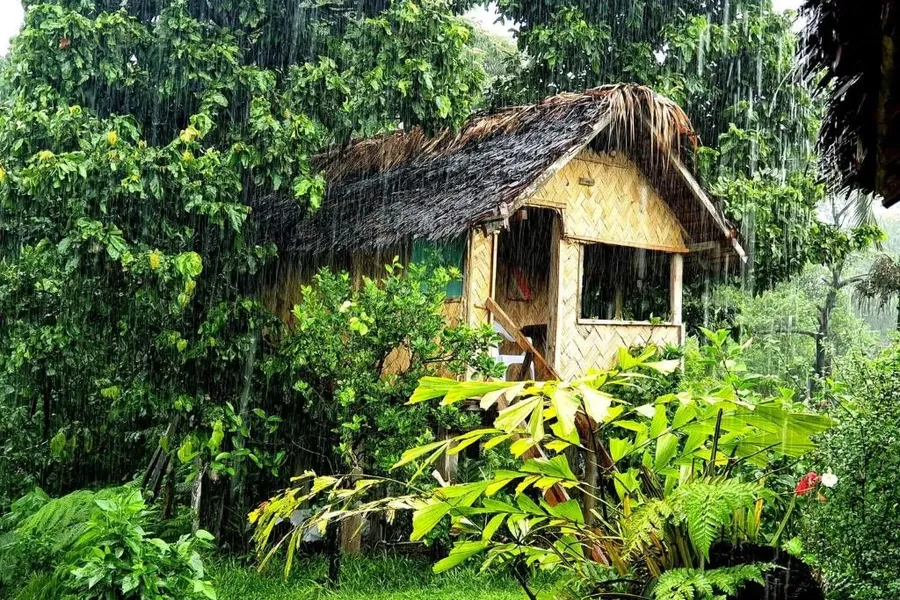 Volcano Island Paradise