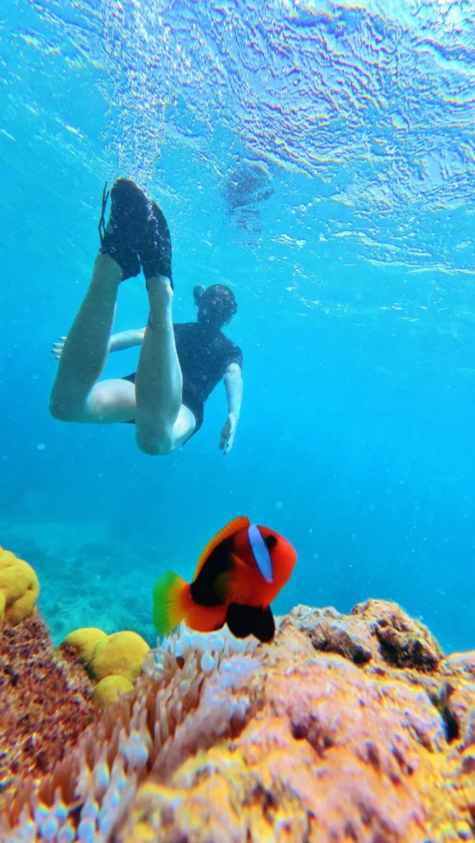 Wala Island Snorkelling Swimming Malekula (1) U CREDIT VanuatuPocketGuide.com