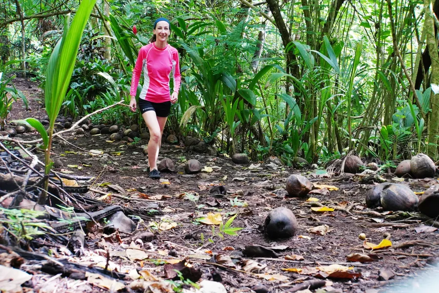 Walk Forest Fagatele CREDIT AmericanSamoaPocketGuide.com