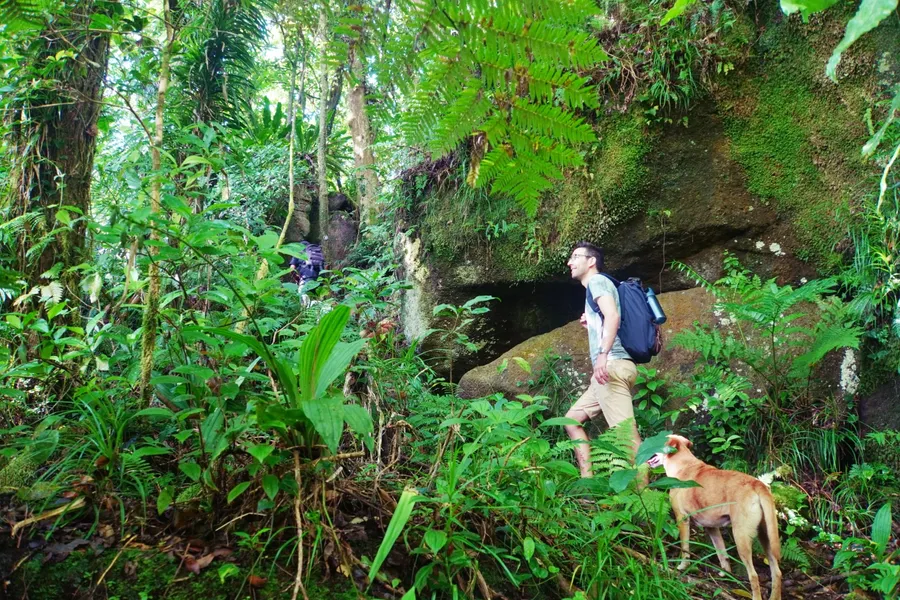 Walk Hike Tumu Forest CREDIT AmericanSamoaPocketGuide.com