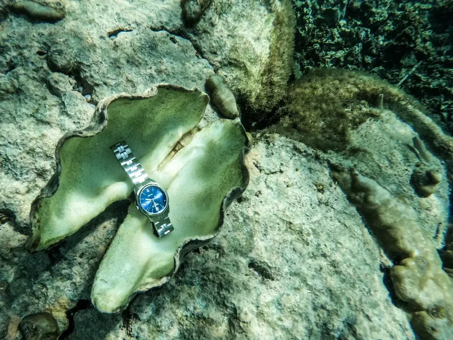 Watch Time Zone Shell American Samoa