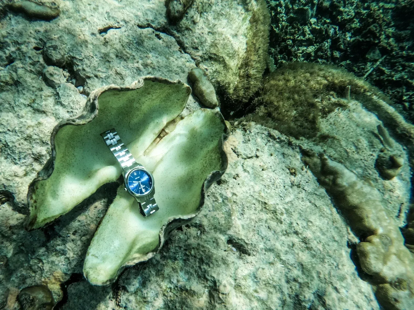 Watch Time Zone Shell American Samoa