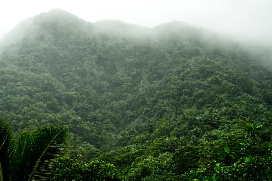 Waterfall Weather Masefau CREDIT AmericanSamoaPocketGuide.com