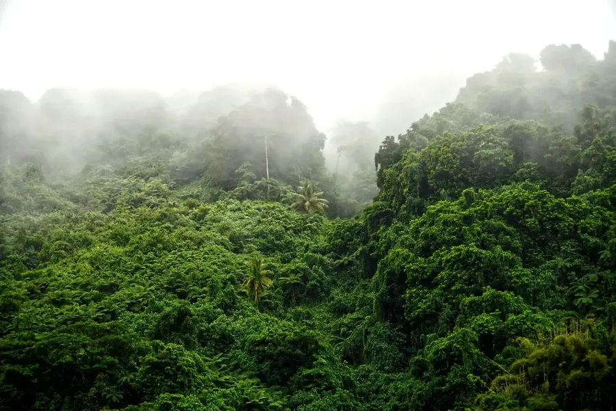 Weather Mountain Futuna Landscape CREDIT WallisandFutunaPocketGuide.com