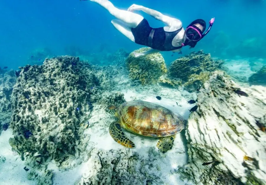 25 Top Reasons to Visit Rarotonga & the Cook Islands