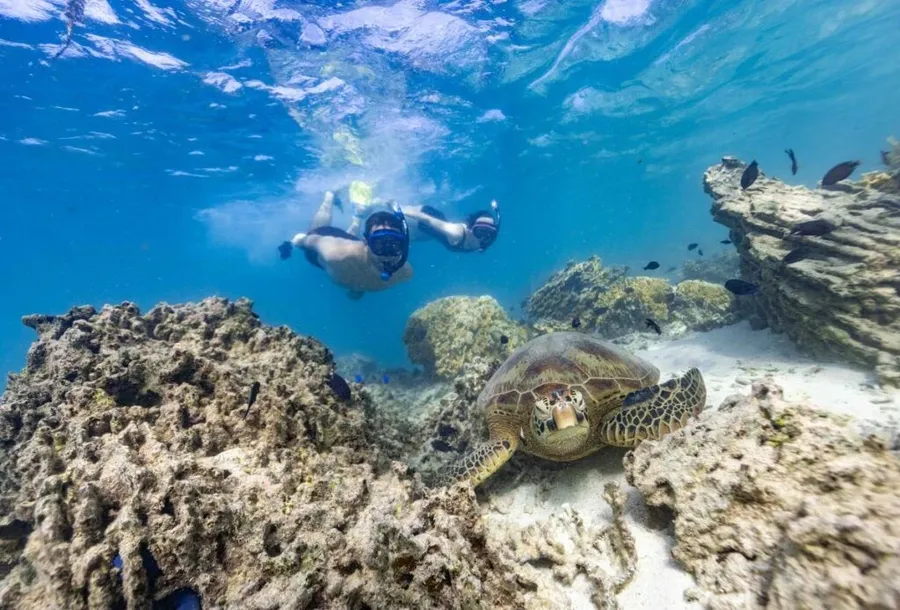 10 Best Water Activities in Rarotonga & the Cook Islands