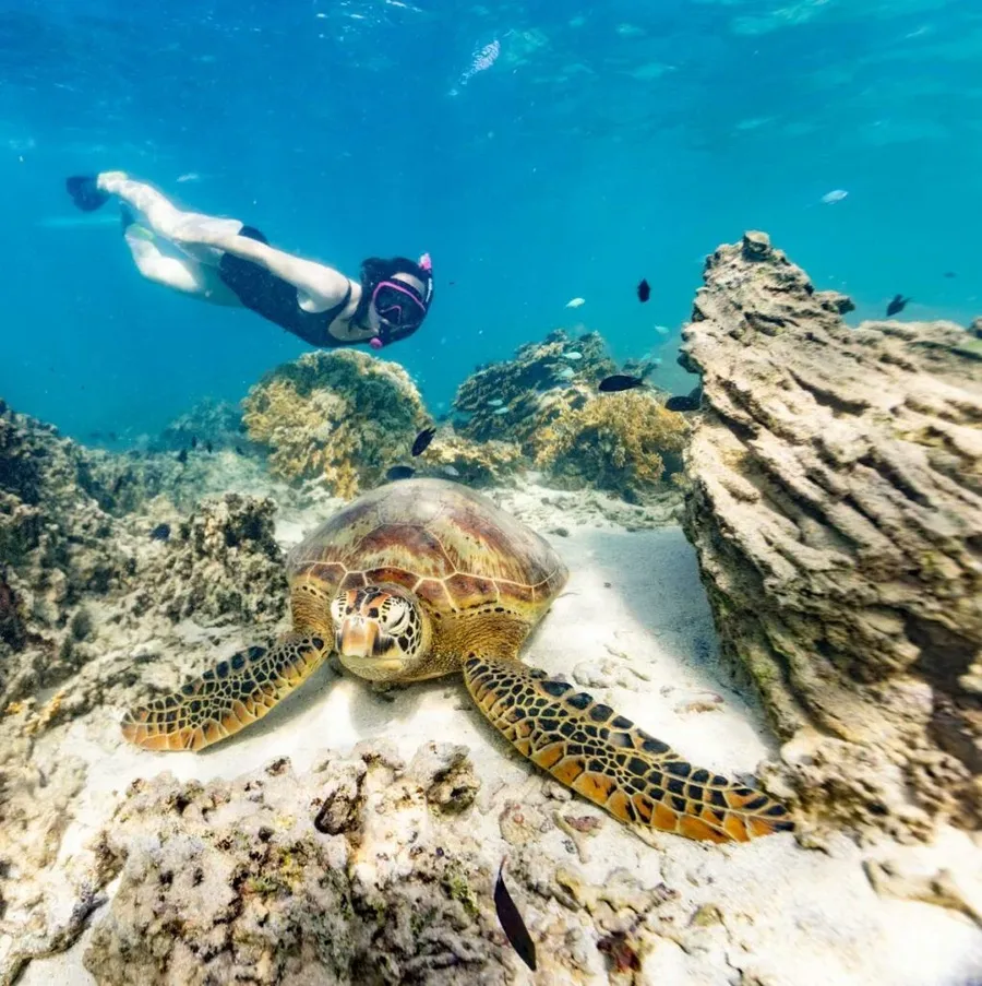 Rarotonga & Cook Islands Food Itinerary: 10 Days ????